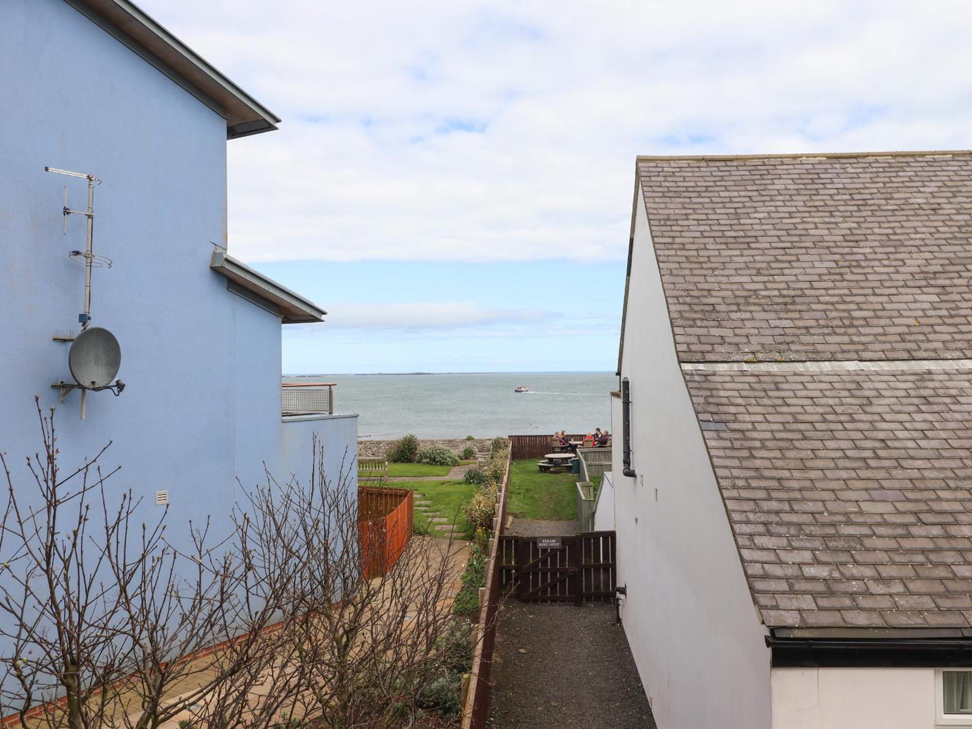 Puffin View Daire Seahouses Dış mekan fotoğraf